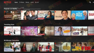 94FBR Netflix APK 8.139.3 Download for Android 2024 3